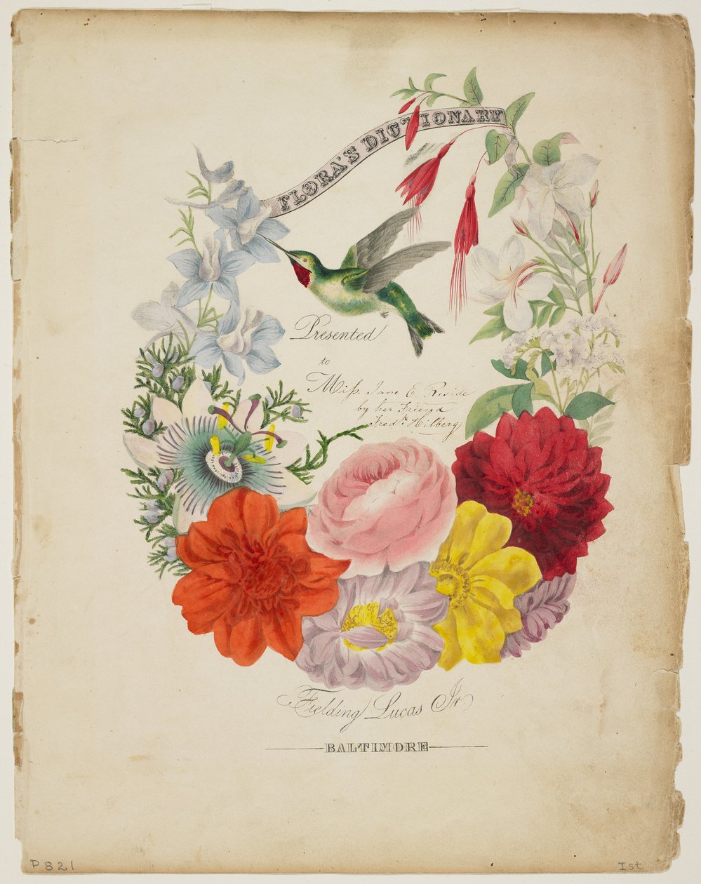 Pagina di presentazione, ghirlanda di fiori e colibrì, da Flora