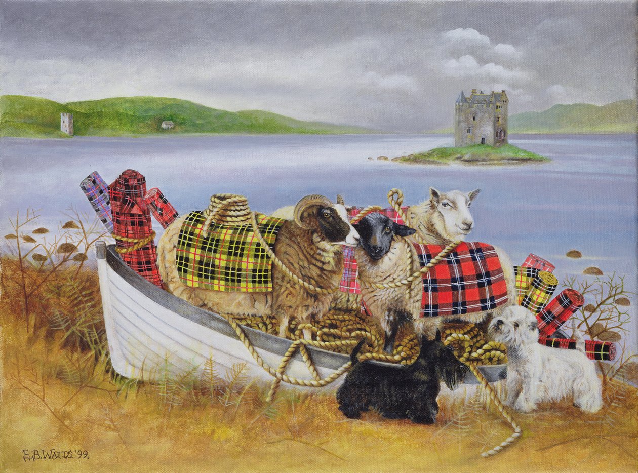 Pecora con Tartan, 1999 da E.B. Watts