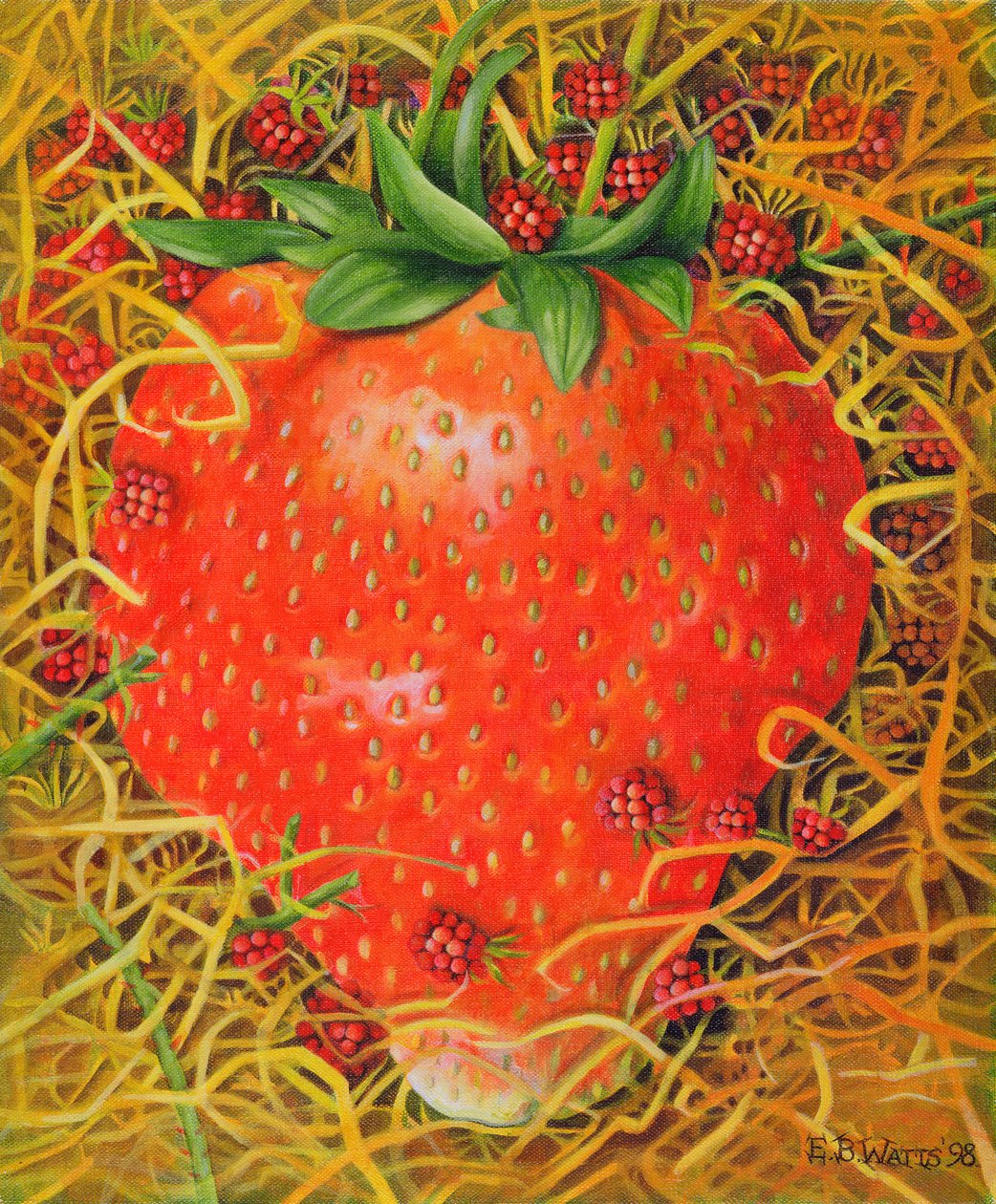 Fragola nella Paglia, 1998 da E.B. Watts