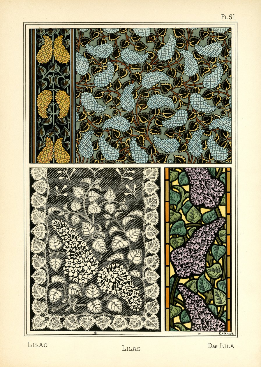 Il Lillà da E. Hervegh