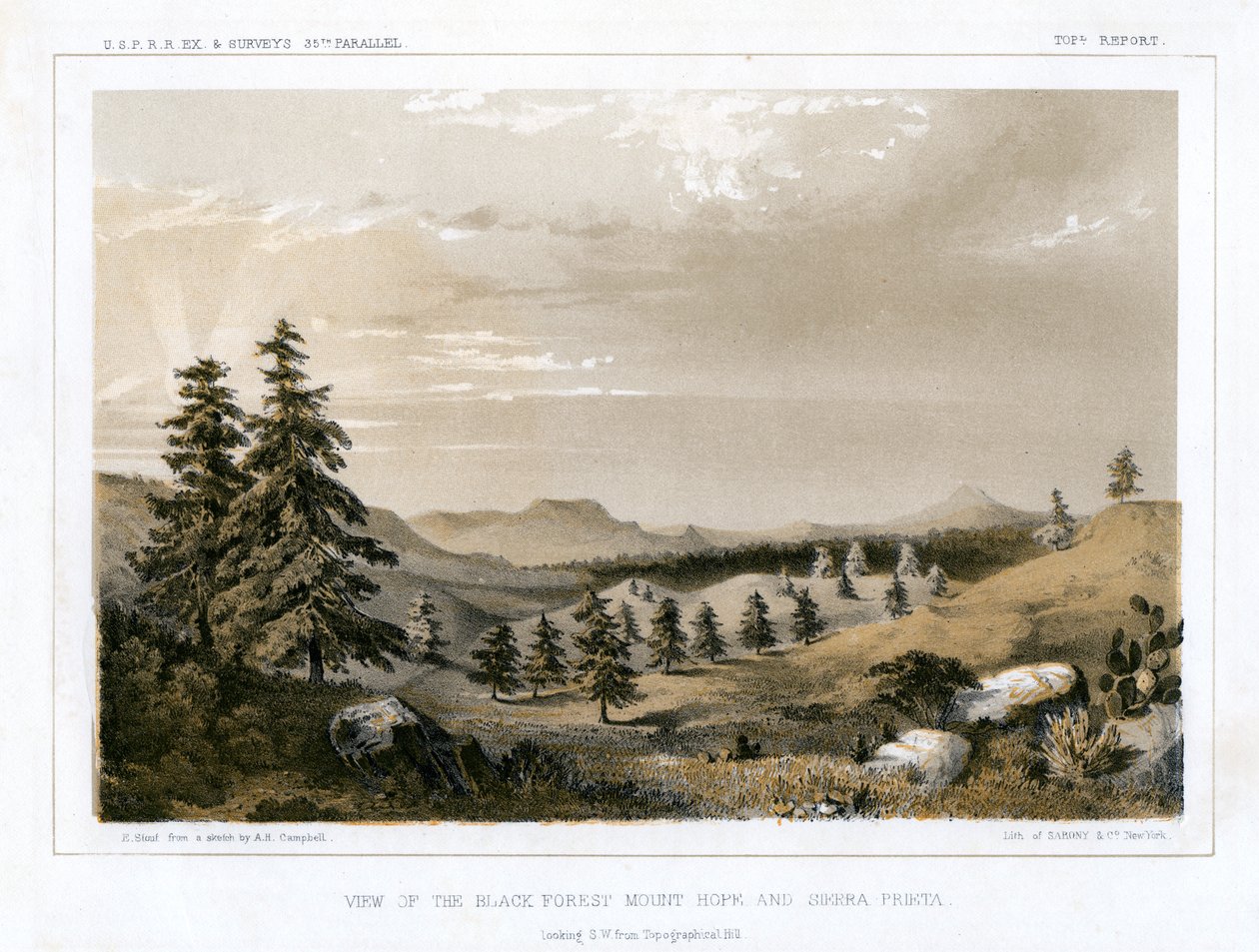La Foresta Nera Mount Hope e Sierra Prieta, USA da E Stout