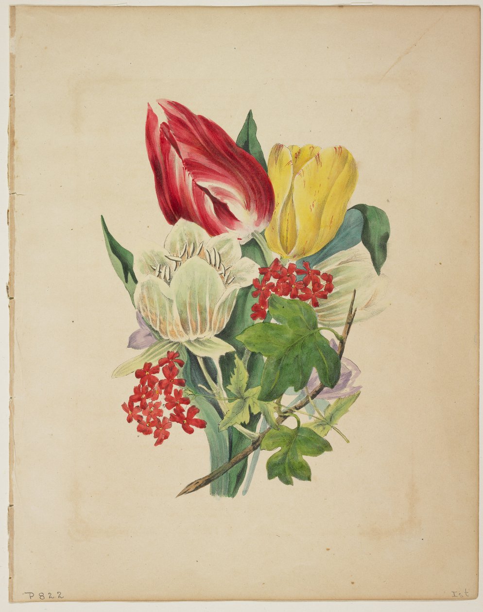 Bouquet di tulipani, da 