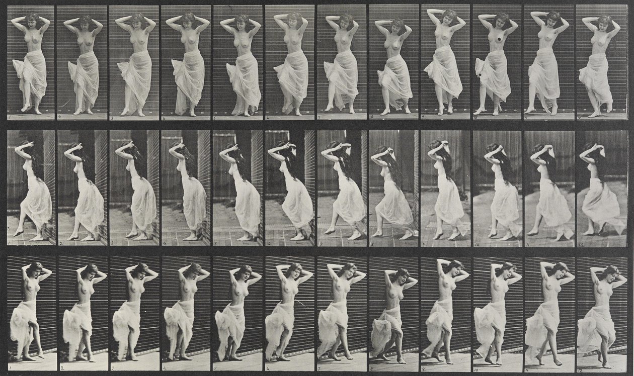 Locomozione animale 190 da Eadweard Muybridge