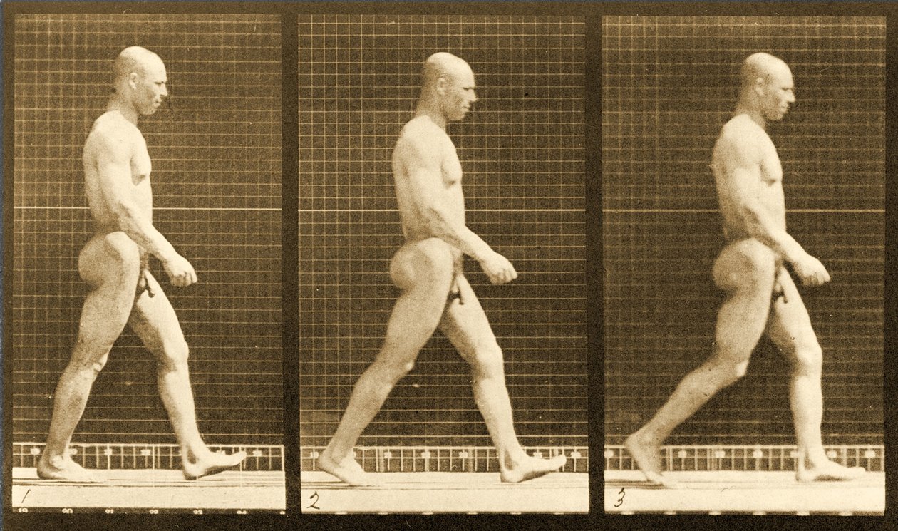 Sequenza di immagini di un uomo nudo che cammina, serie 