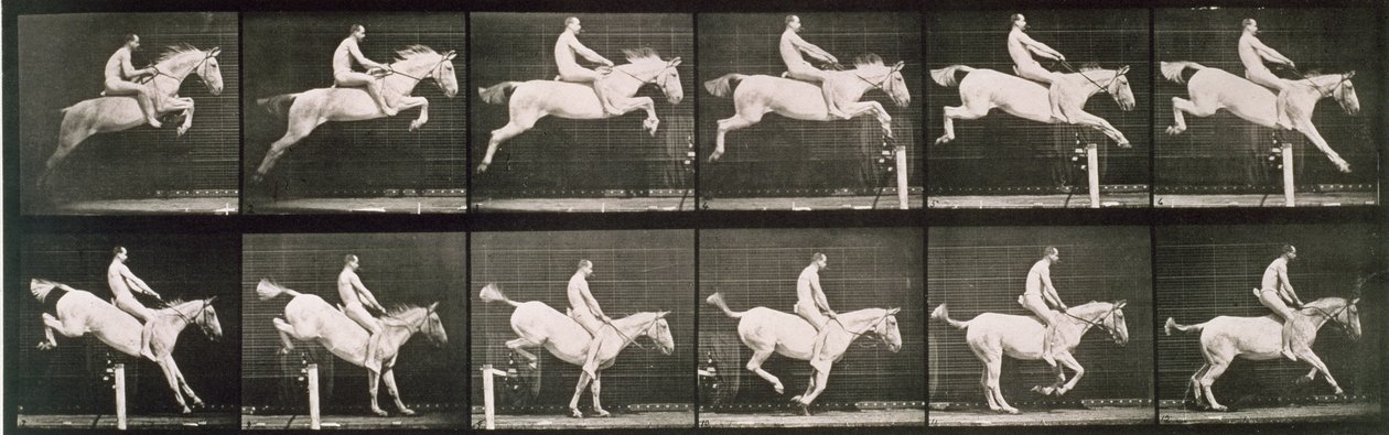 Uomo e cavallo che saltano una recinzione, tavola 643 da 