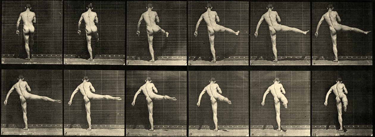 Ballerino di nudo maschile, prima azione di balletto, sollevando la gamba destra (Tavola 369) c.1887 da Eadweard Muybridge