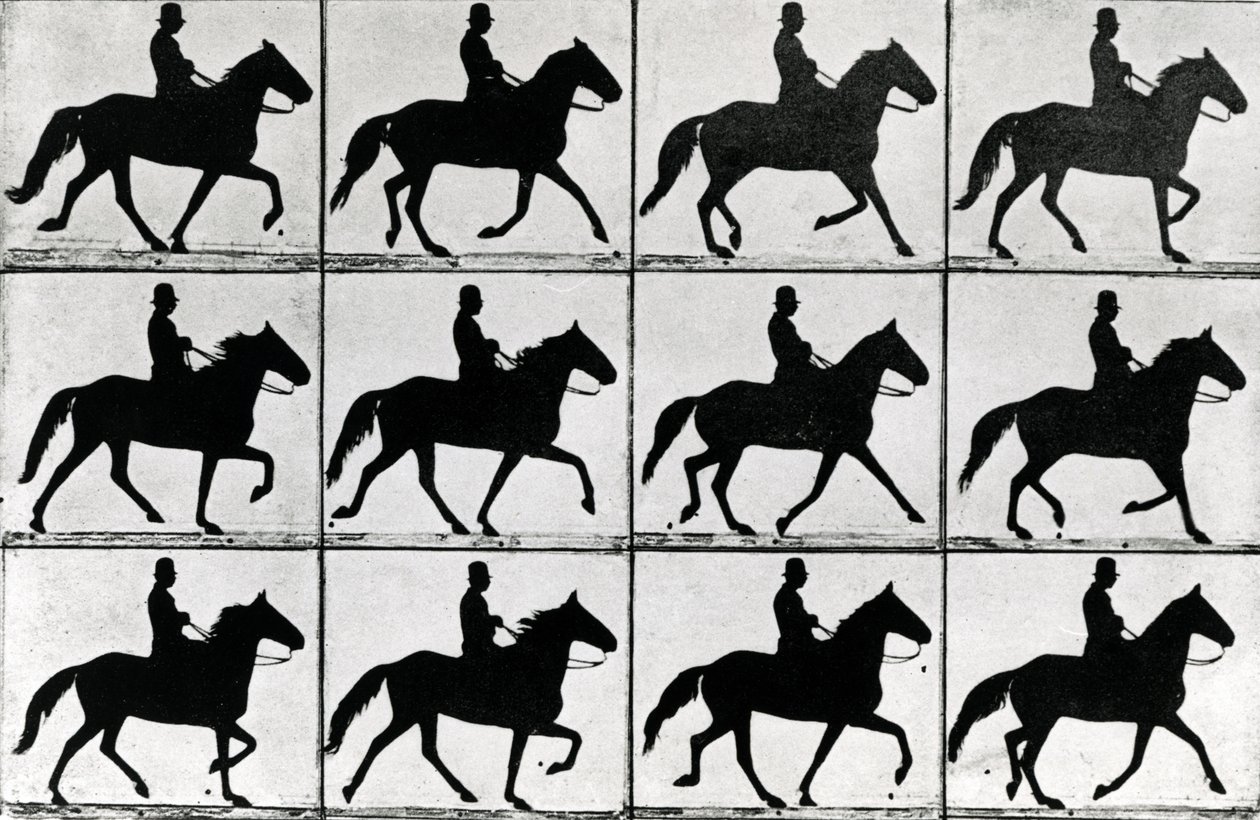 Un passo in undici fasi, 1881, illustrazione da 