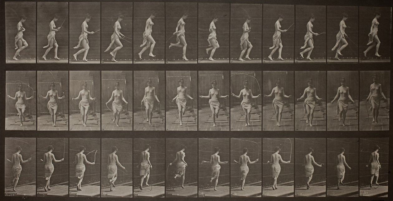 Locomozione Animale, Tavola 174, 1887 da Eadweard Muybridge