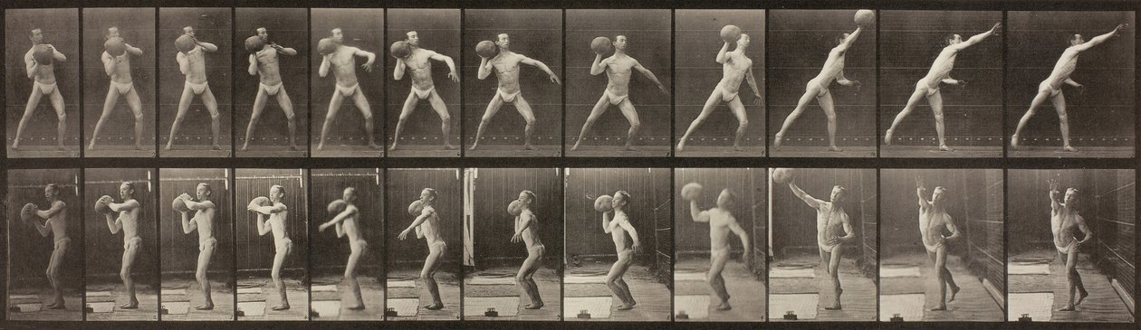 Locomozione Animale, Tavola 319 da Eadweard Muybridge