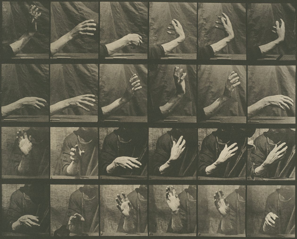 Locomozione animale, Tavola 535, 1887 da Eadweard Muybridge
