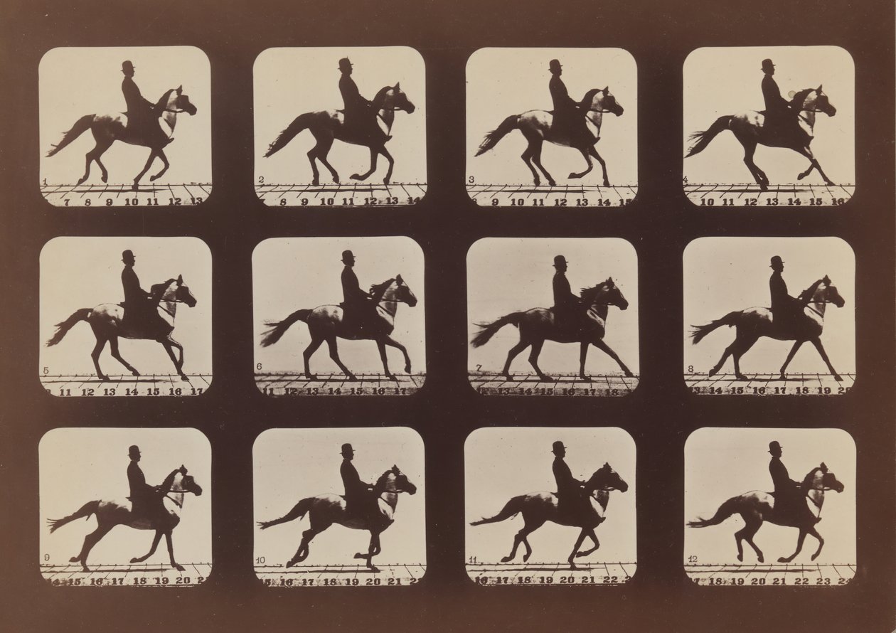 Atteggiamenti degli animali in movimento da Eadweard Muybridge