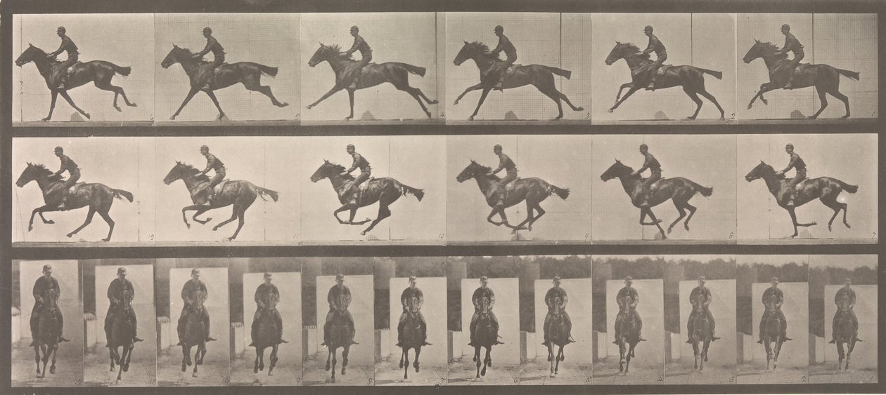 Cavaliere e cavallo al galoppo da Eadweard Muybridge