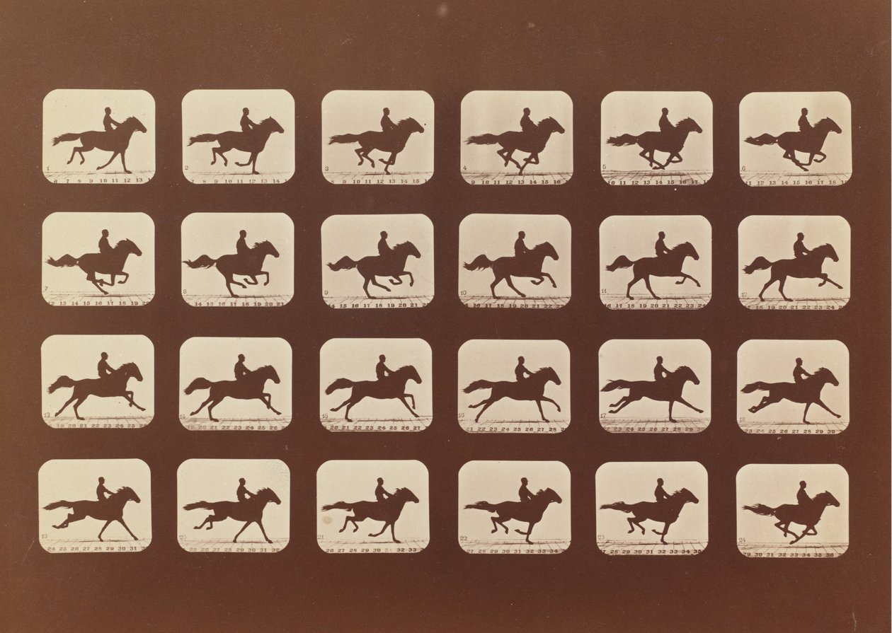 Cavalli in corsa. Phyrne L. No. 40, 1879 da Eadweard Muybridge