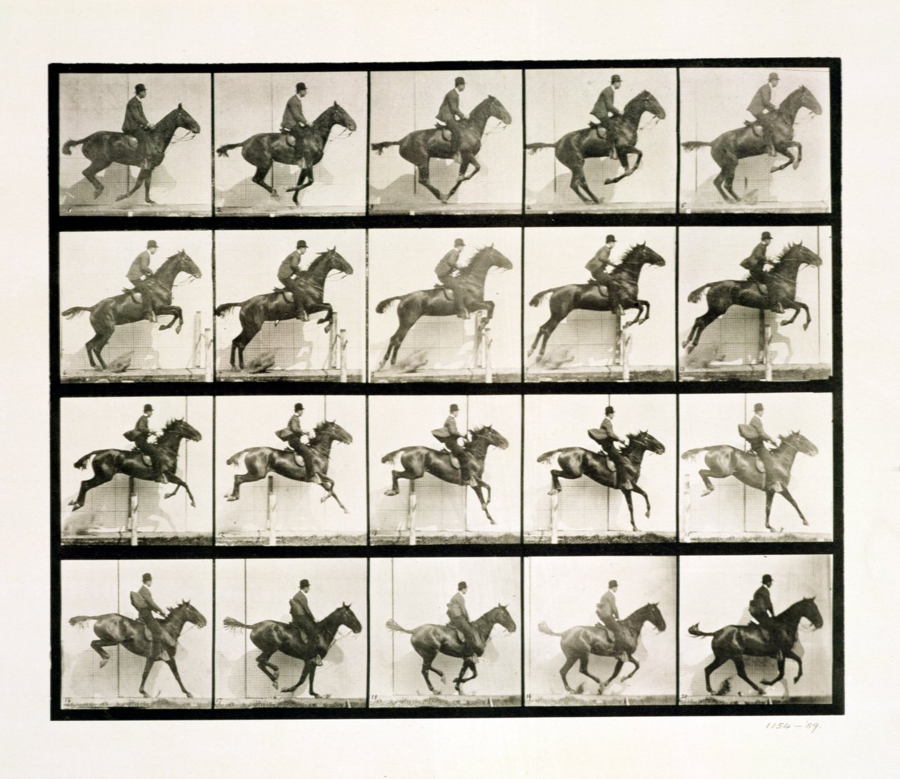 Uomo e cavallo che saltano una recinzione, 1887 da Eadweard Muybridge