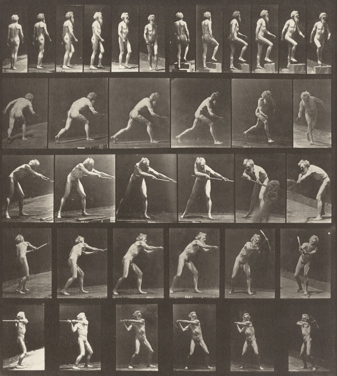 Tavola numero 521. A: Camminare. B: Salire un gradino. C: Lanciare il disco. D: Usare una pala..., 1887 da Eadweard Muybridge
