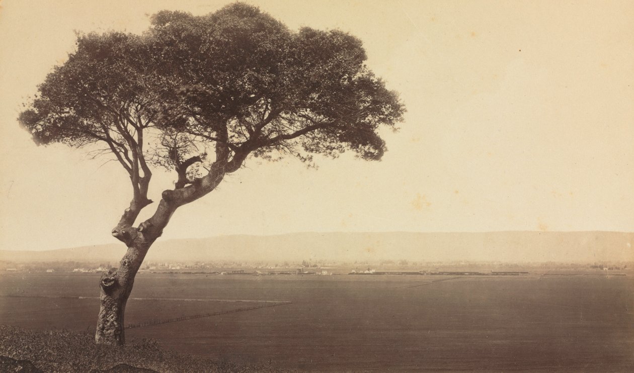 Paesaggio senza titolo vicino a Watsonville, California, c. 1879 da Eadweard Muybridge