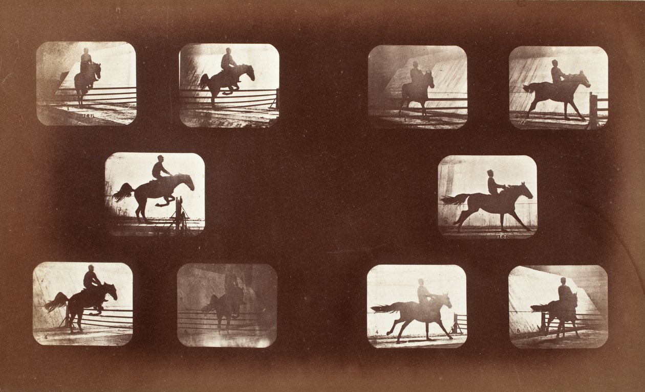 Locomozione animale (uomo a cavallo sopra ostacoli) da Eadweard Muybridge