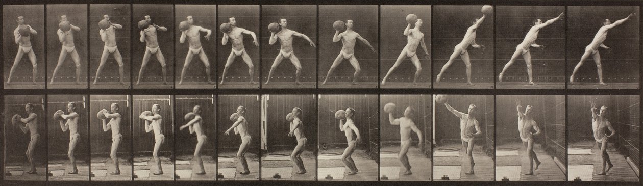 Locomozione animale, Tavola 319, 1887 da Eadweard Muybridge
