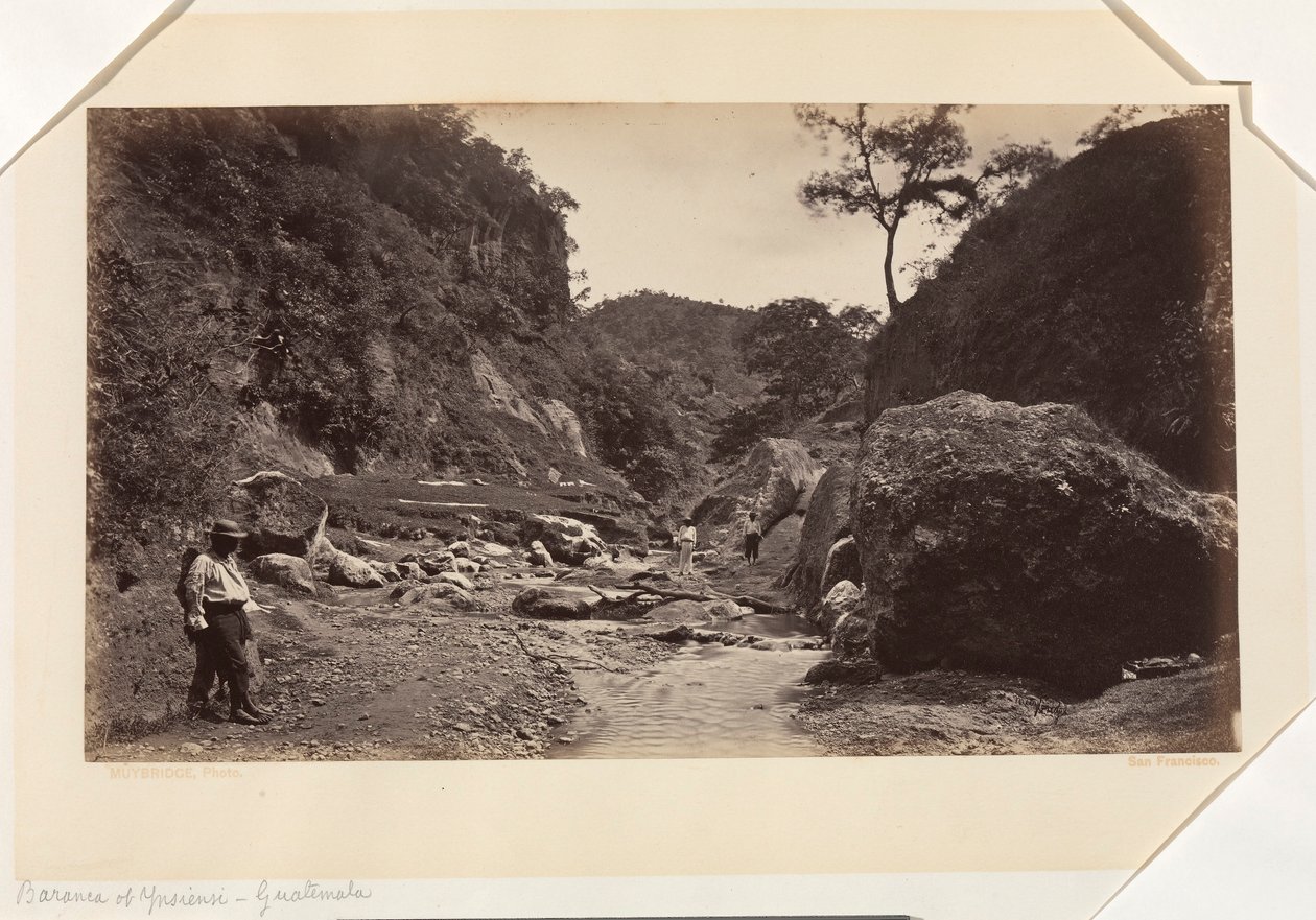 Barranca of Ynsiensi, Guatemala da Eadweard Muybridge