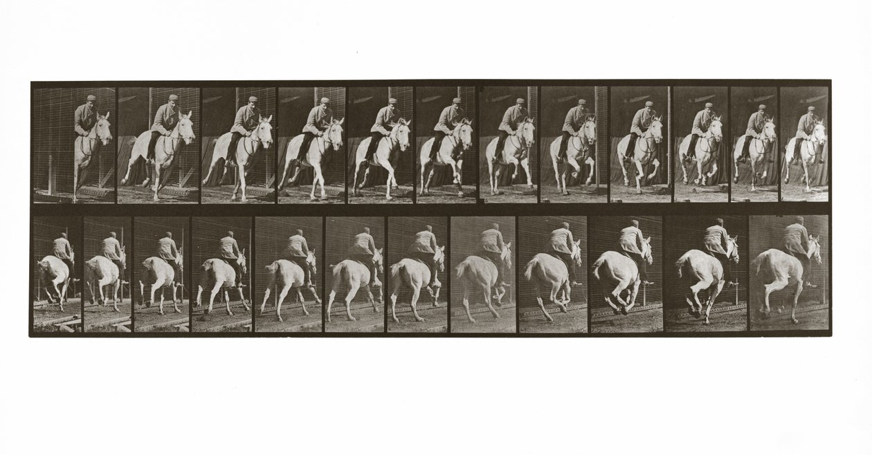 Cavallo al galoppo con cavaliere, Tavola 635 da Animal Locomotion da Eadweard Muybridge