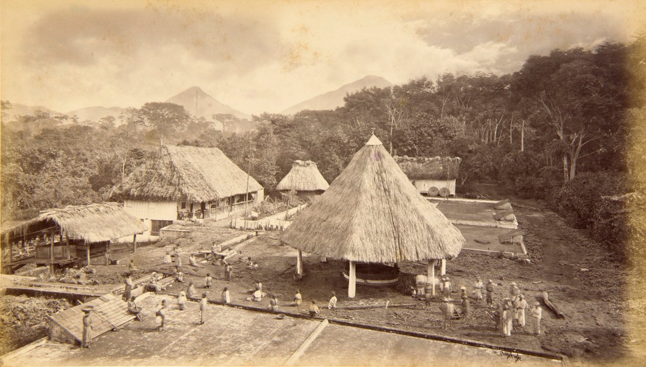 Hacienda William Nelson, San Isidro, Guatemala da Eadweard Muybridge