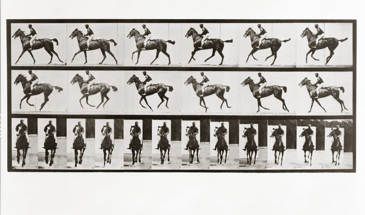 Cavallo e cavaliere, Tavola 621 da Animal Locomotion da Eadweard Muybridge