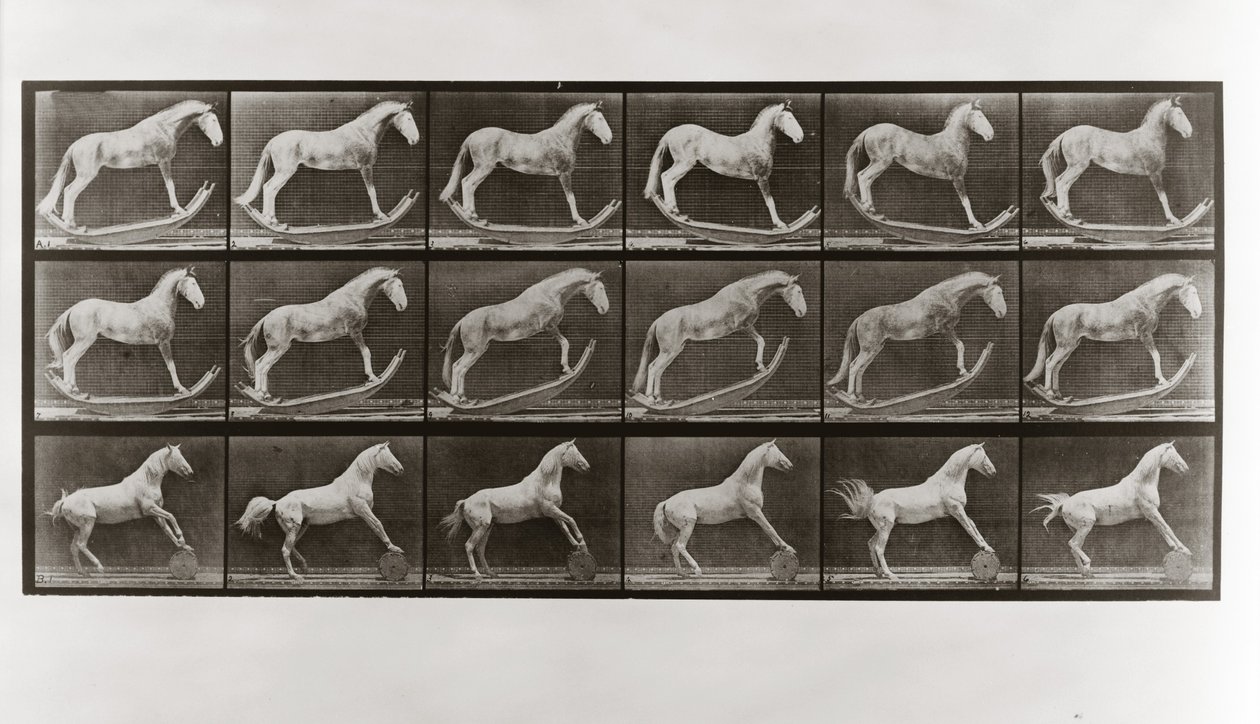 Cavallo su dondoli e cavallo che rotola un barile, Tavola 649 da Animal Locomotion da Eadweard Muybridge