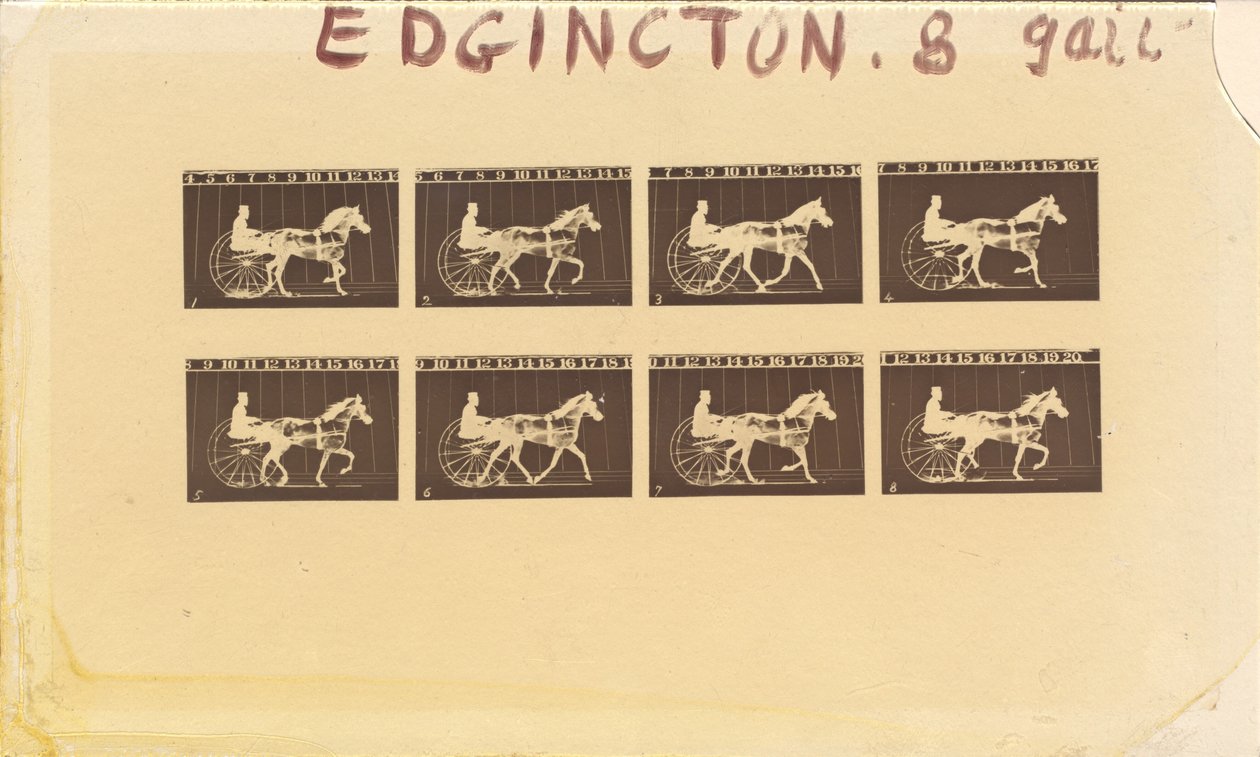 Internegativo per Cavalli. Trotto. Abe Edgington. No. 28 da Eadweard Muybridge