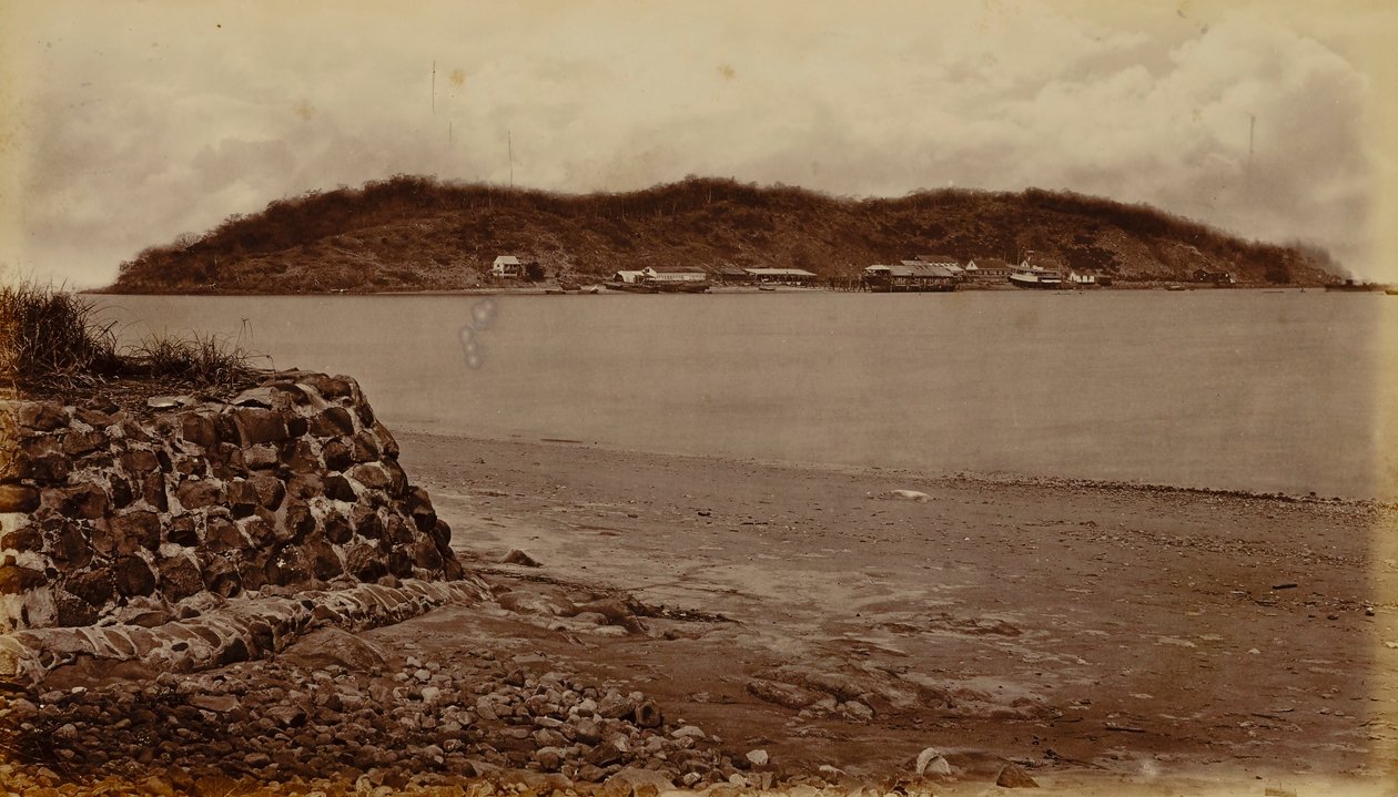 Isola di Naos, da Perico, Baia di Panama da Eadweard Muybridge