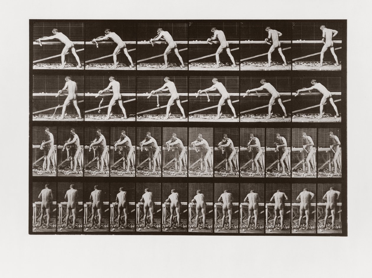Uomo che pialla il legno, Tavola 379 da Animal Locomotion da Eadweard Muybridge