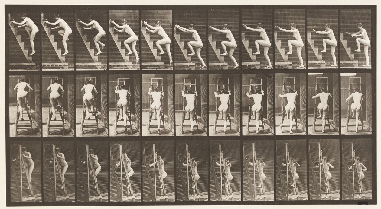 Tavola 110. Salire una scala a pioli, due gradini alla volta da Eadweard Muybridge