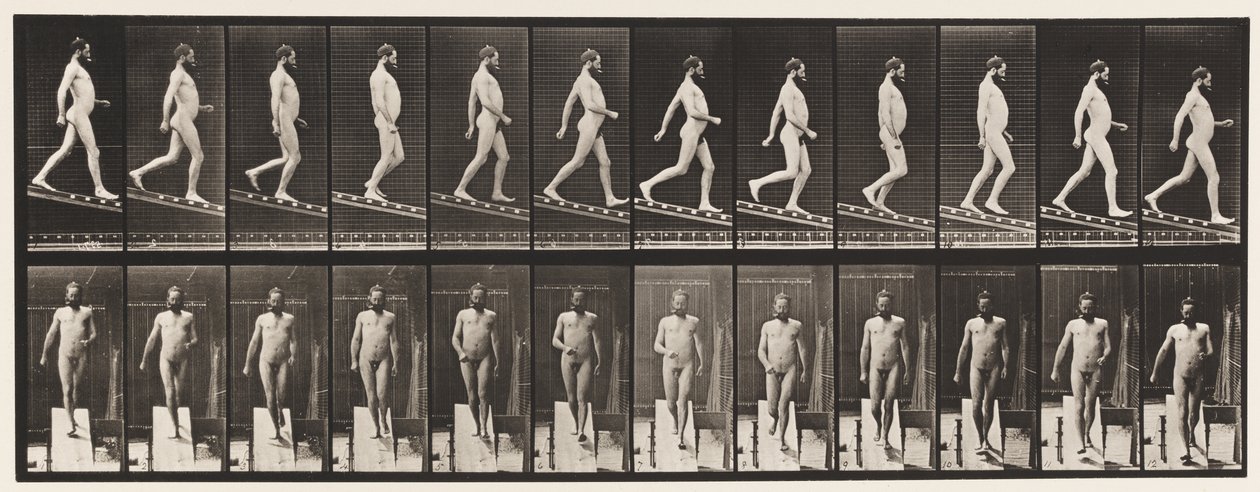 Tavola 113. Scendere una pendenza, 1 su 4 da Eadweard Muybridge