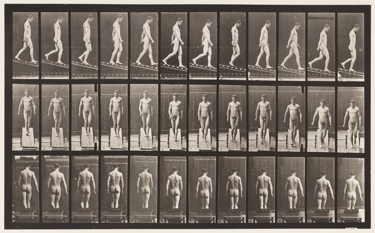 Tavola 114. Scendere la pendenza, angolo 1 su 4, 1872-1885 da Eadweard Muybridge