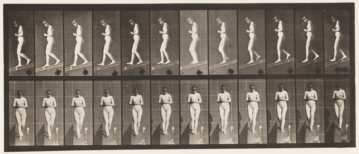 Tavola 115. Scendere una pendenza con le mani giunte davanti da Eadweard Muybridge