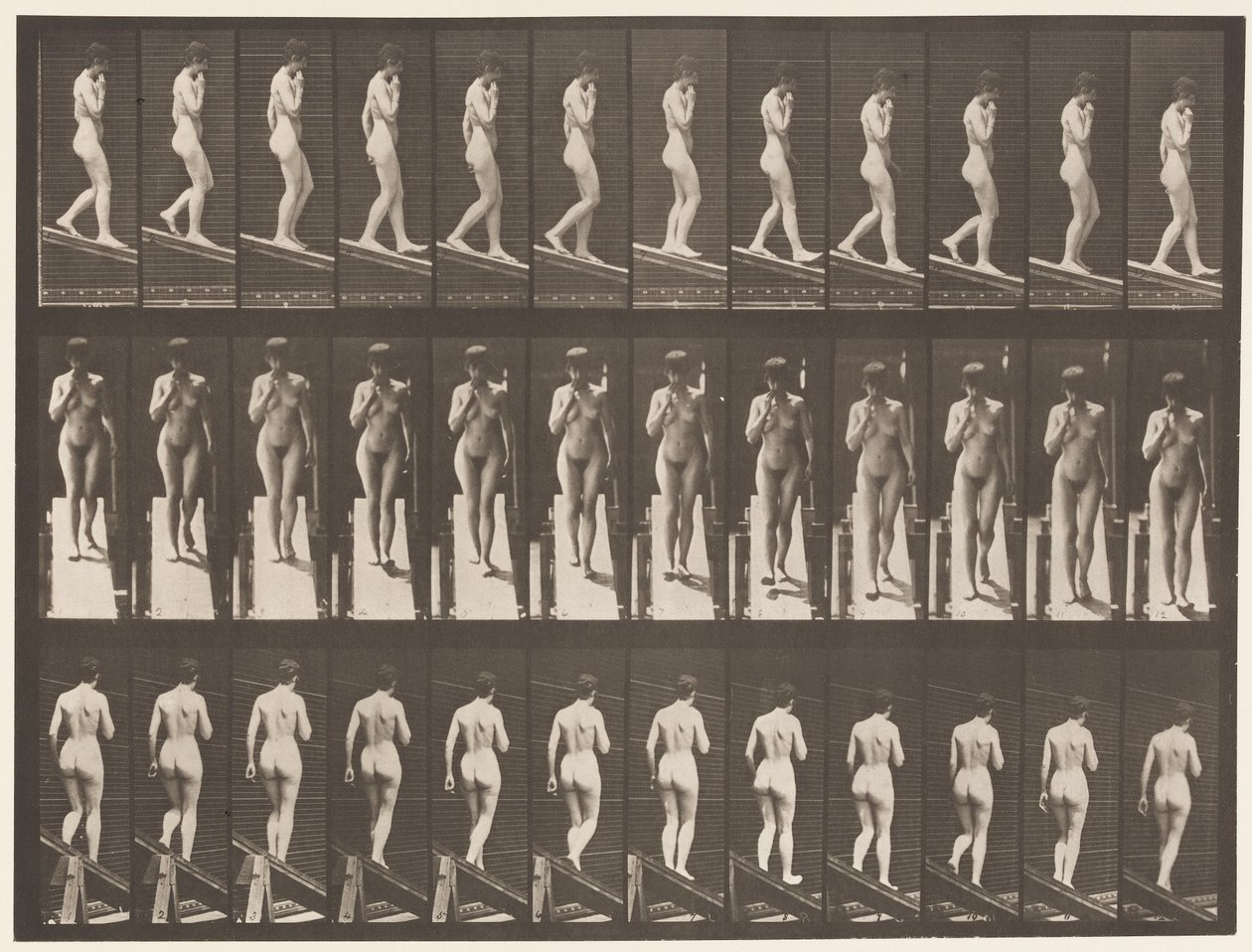 Piastra 116. Scendere una pendenza, una mano sul mento da Eadweard Muybridge