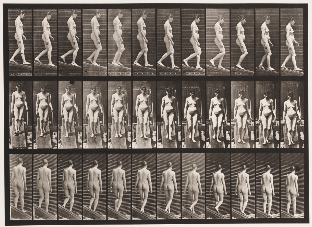 Tavola 117. Scendere una pendenza da Eadweard Muybridge