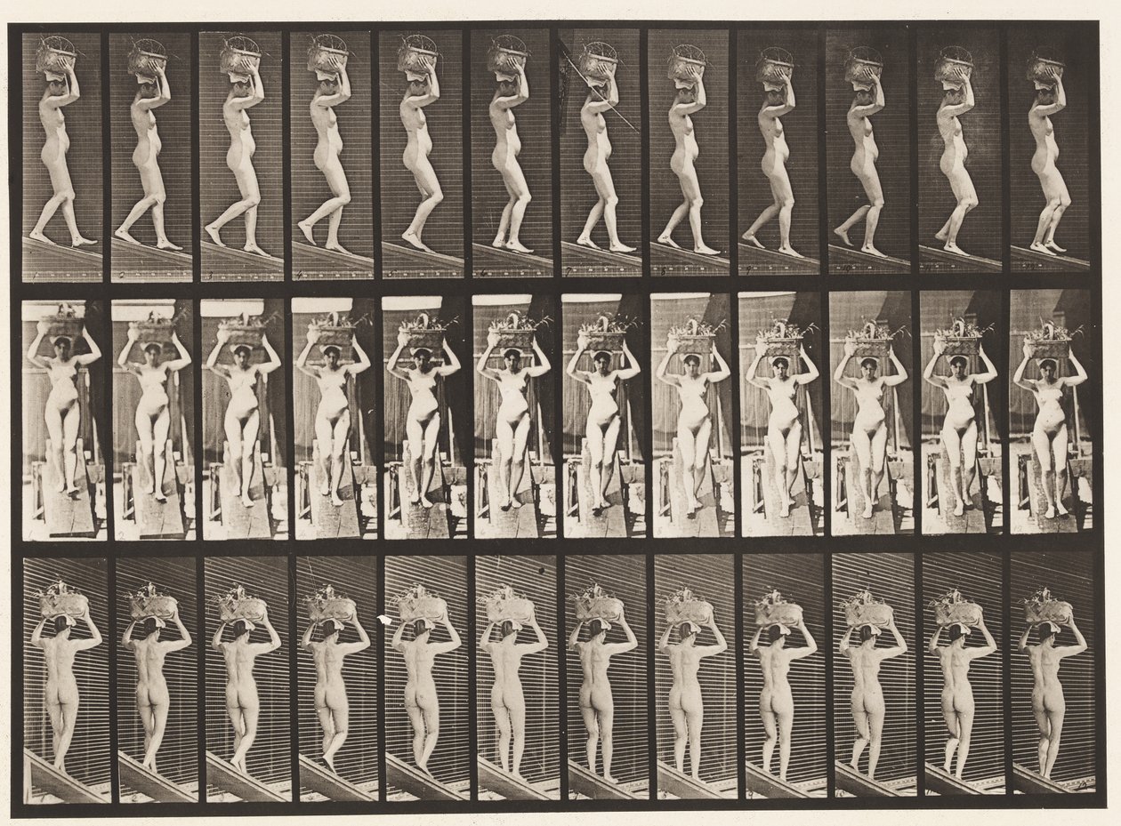 Scendere una pendenza, cesto da 20 libbre sulla testa, mani alzate, 1872-1885 da Eadweard Muybridge