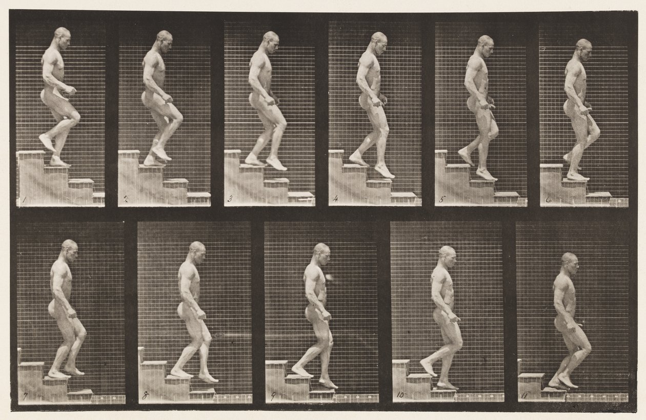 Tavola 126. Scendere le scale da Eadweard Muybridge