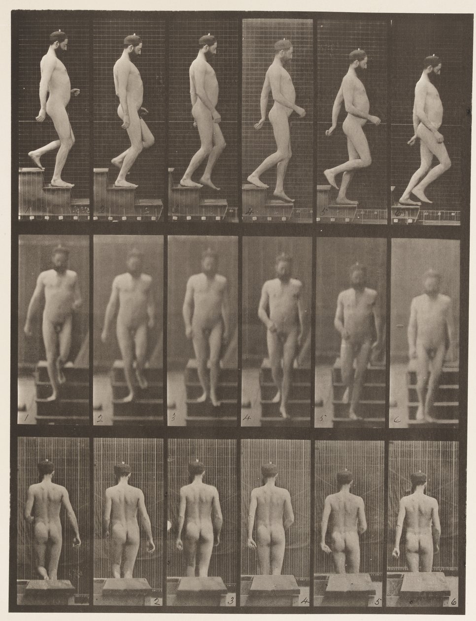 Tavola 127. Scendere le scale da Eadweard Muybridge