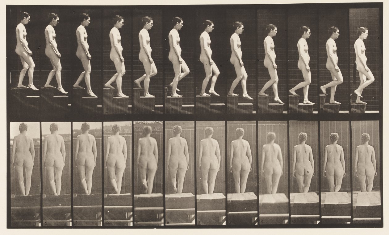 Piatto 129. Scendendo le scale, mani giunte da Eadweard Muybridge