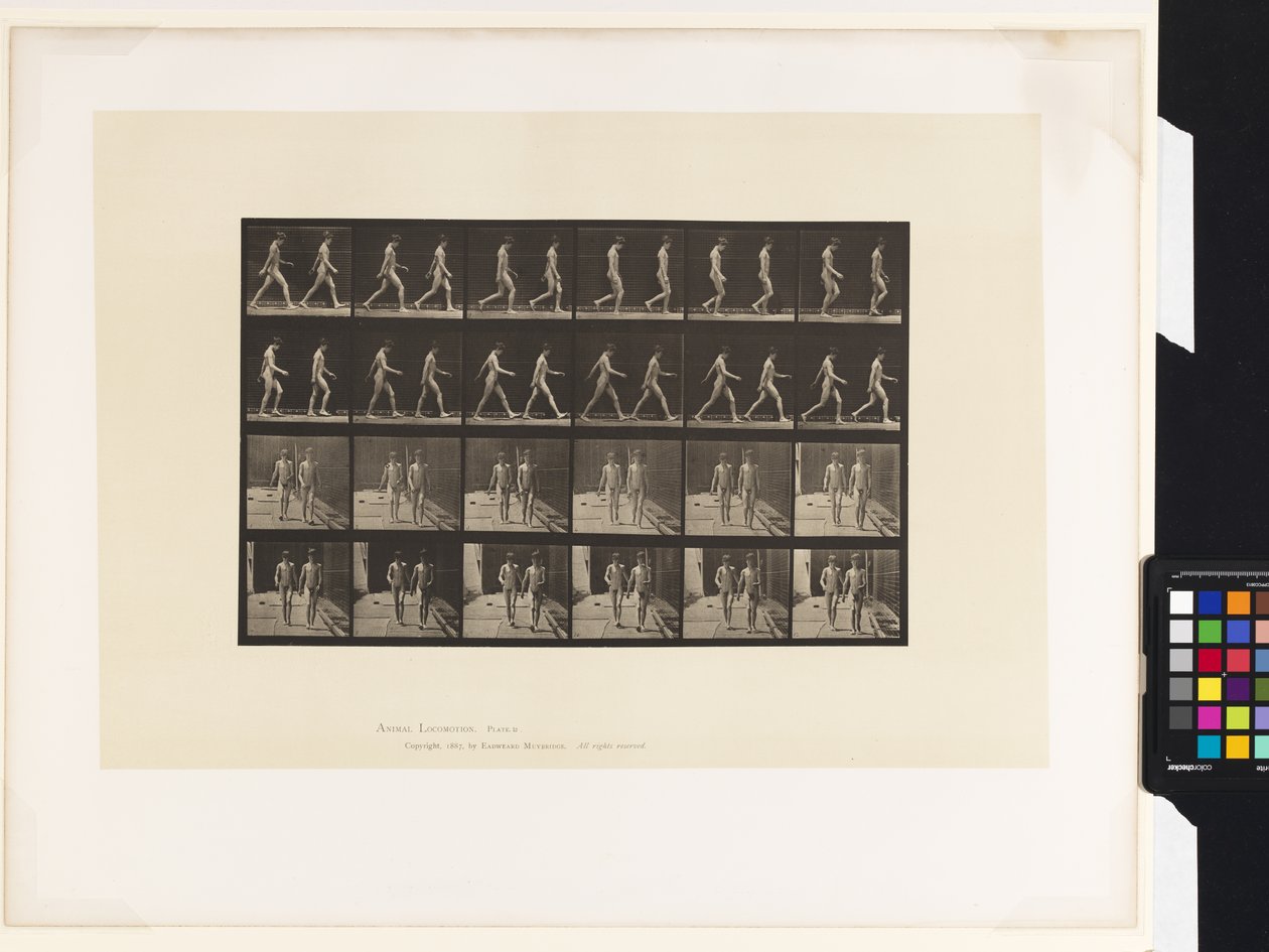 Tavola 12. Camminare da Eadweard Muybridge