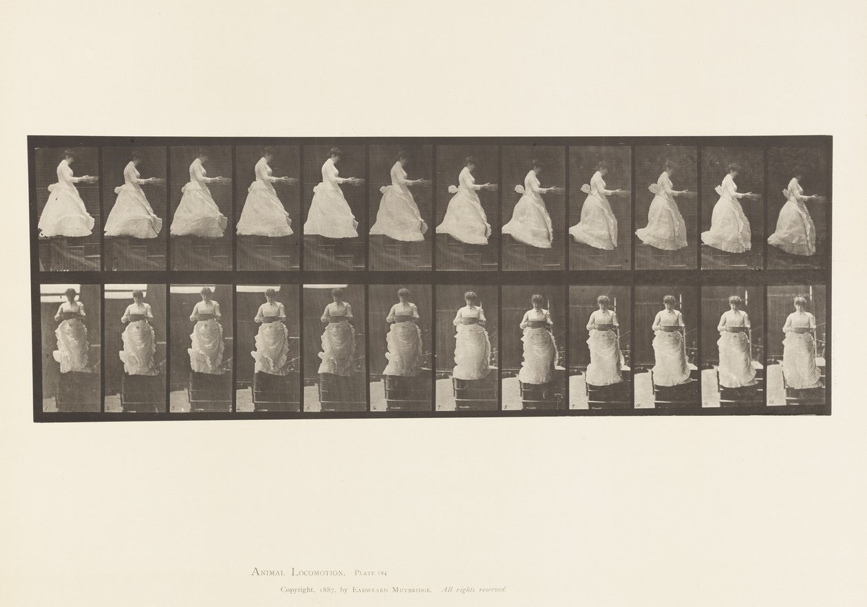 Tavola 134. Scendendo le Scale, con Bacinella in Mano da Eadweard Muybridge