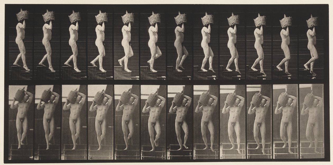 Scendere le Scale con un Demijohn Pieno sulla Spalla, 1872-1885 da Eadweard Muybridge