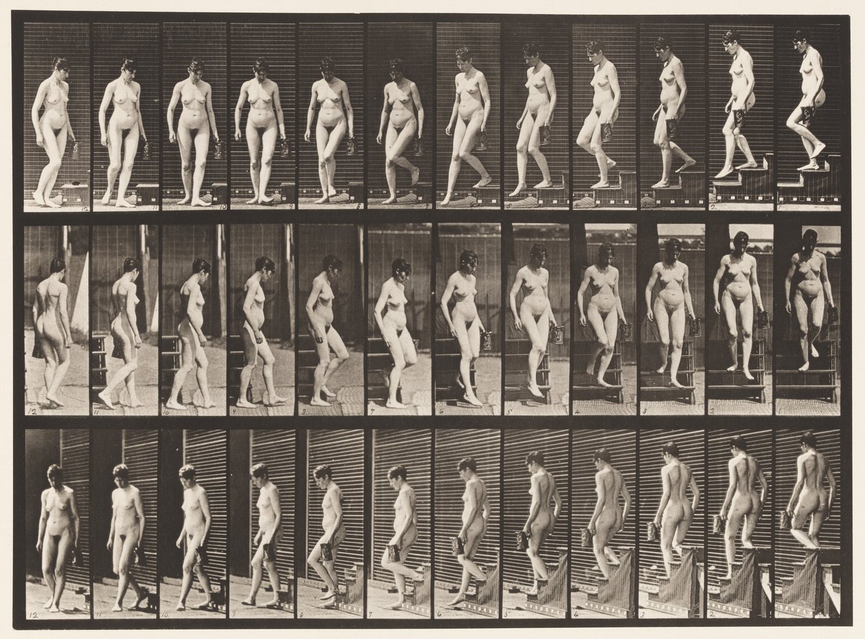 Scendere le scale, girarsi; brocca nella mano sinistra (tavola 138) da Eadweard Muybridge