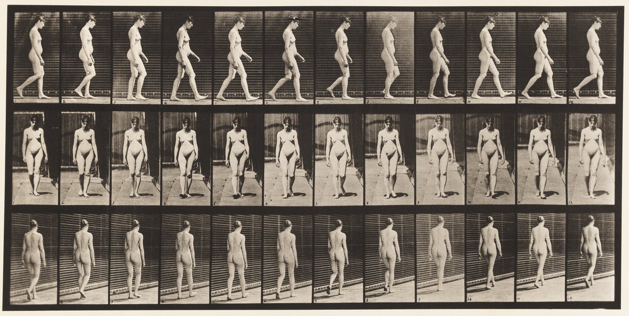 Tavola 13. Camminare da Eadweard Muybridge