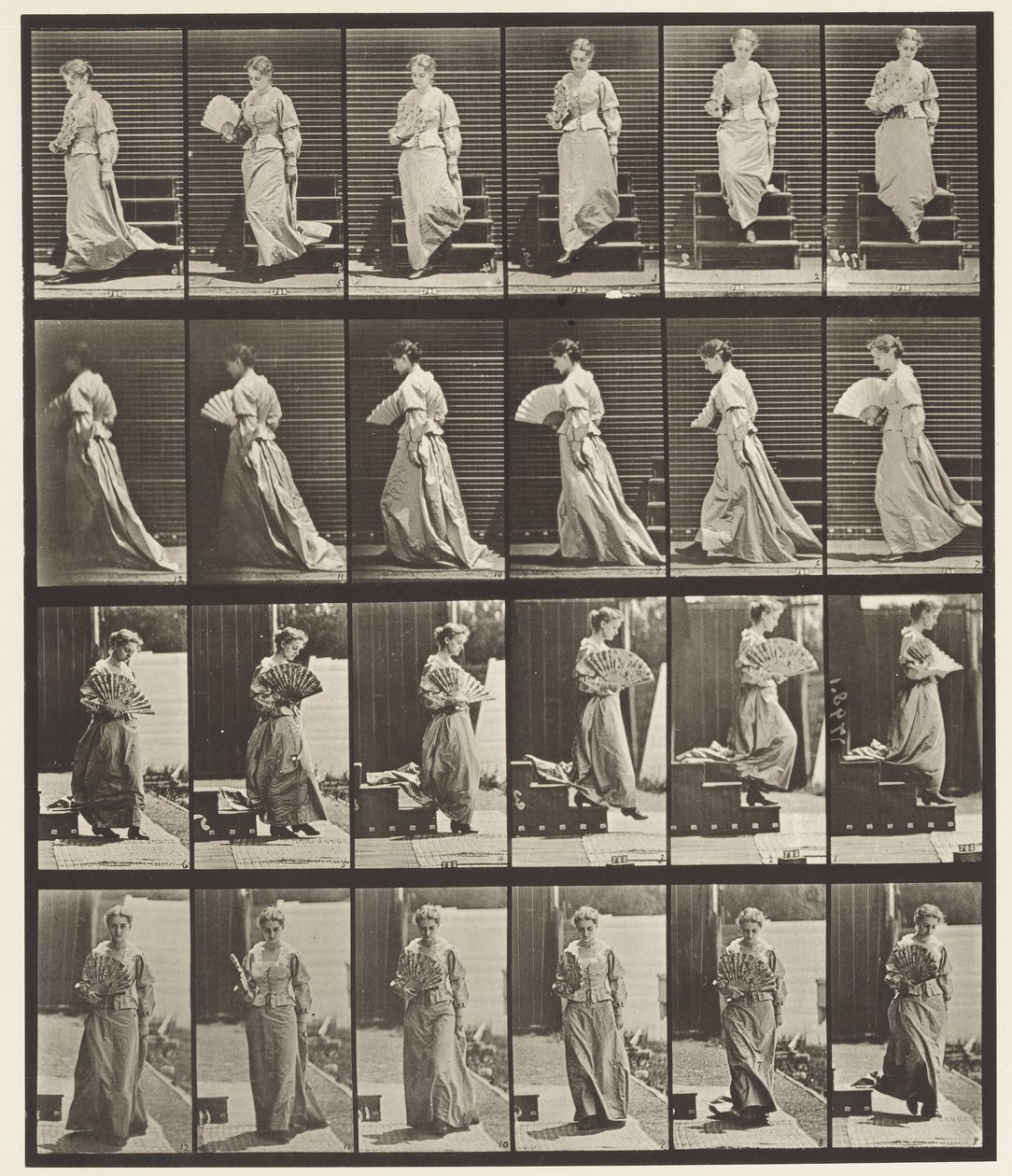 Tavola 141. Scendere le Scale e Sventolare un Ventaglio da Eadweard Muybridge