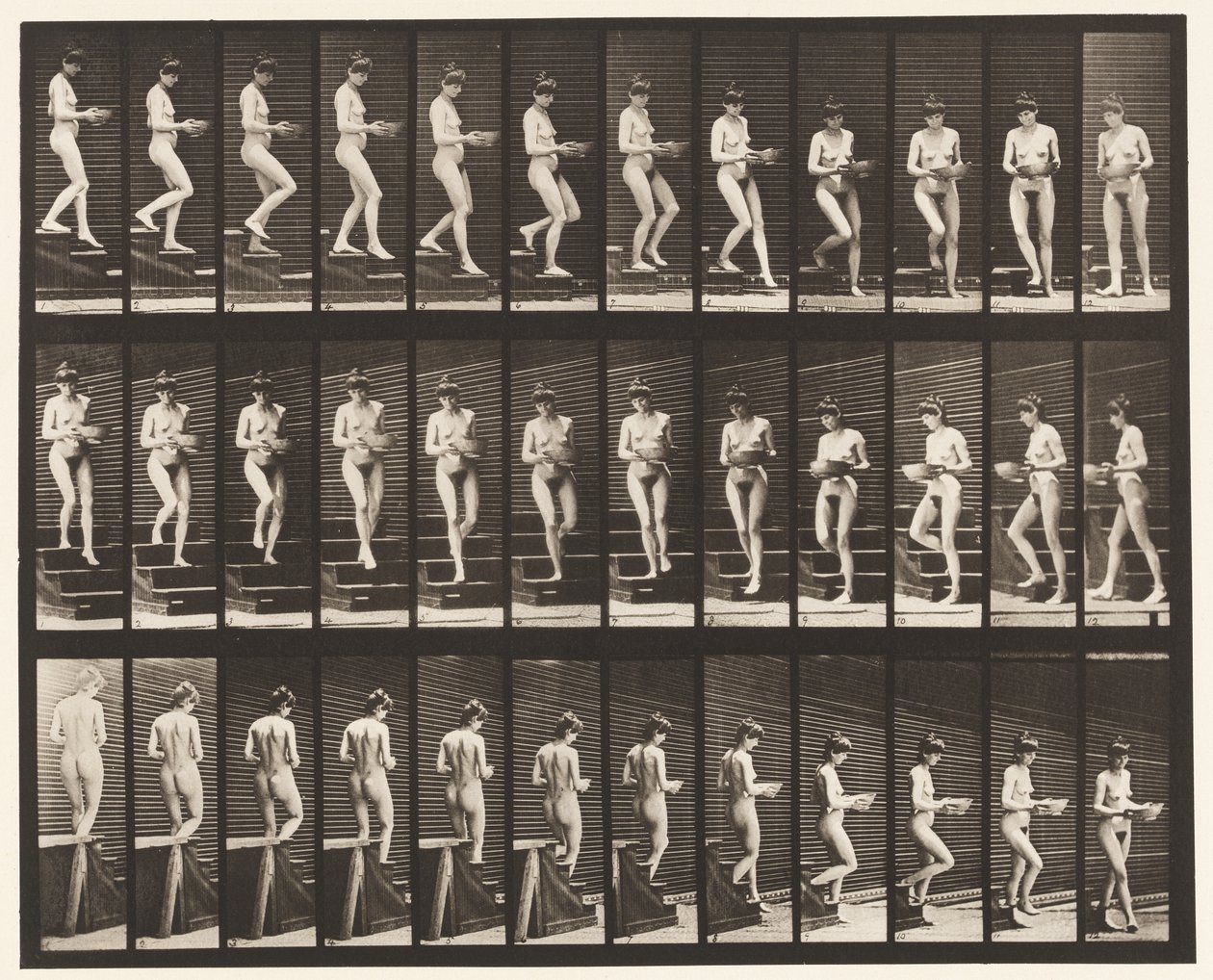 Piastra 144. Scendere le scale; girare un bacino nelle mani da Eadweard Muybridge