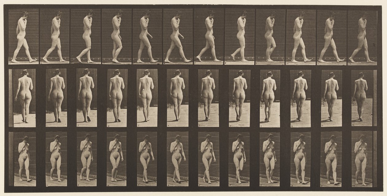 Tavola 14. Camminare, mano destra al mento da Eadweard Muybridge