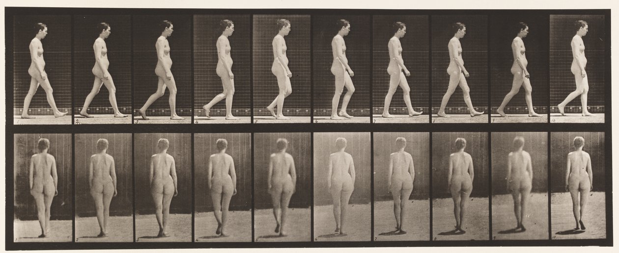 Tavola 15. Camminare da Eadweard Muybridge