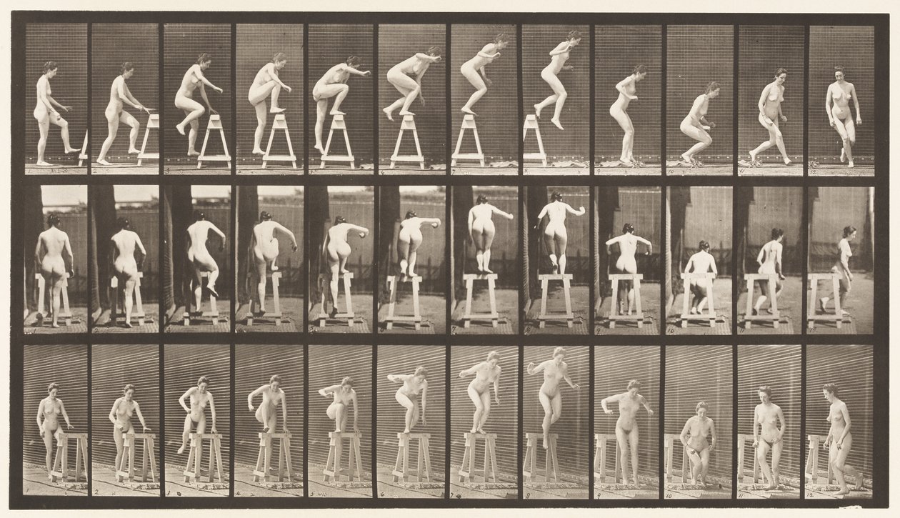 Tavola 171. Salire su un cavalletto; Saltare giù, girarsi da Eadweard Muybridge